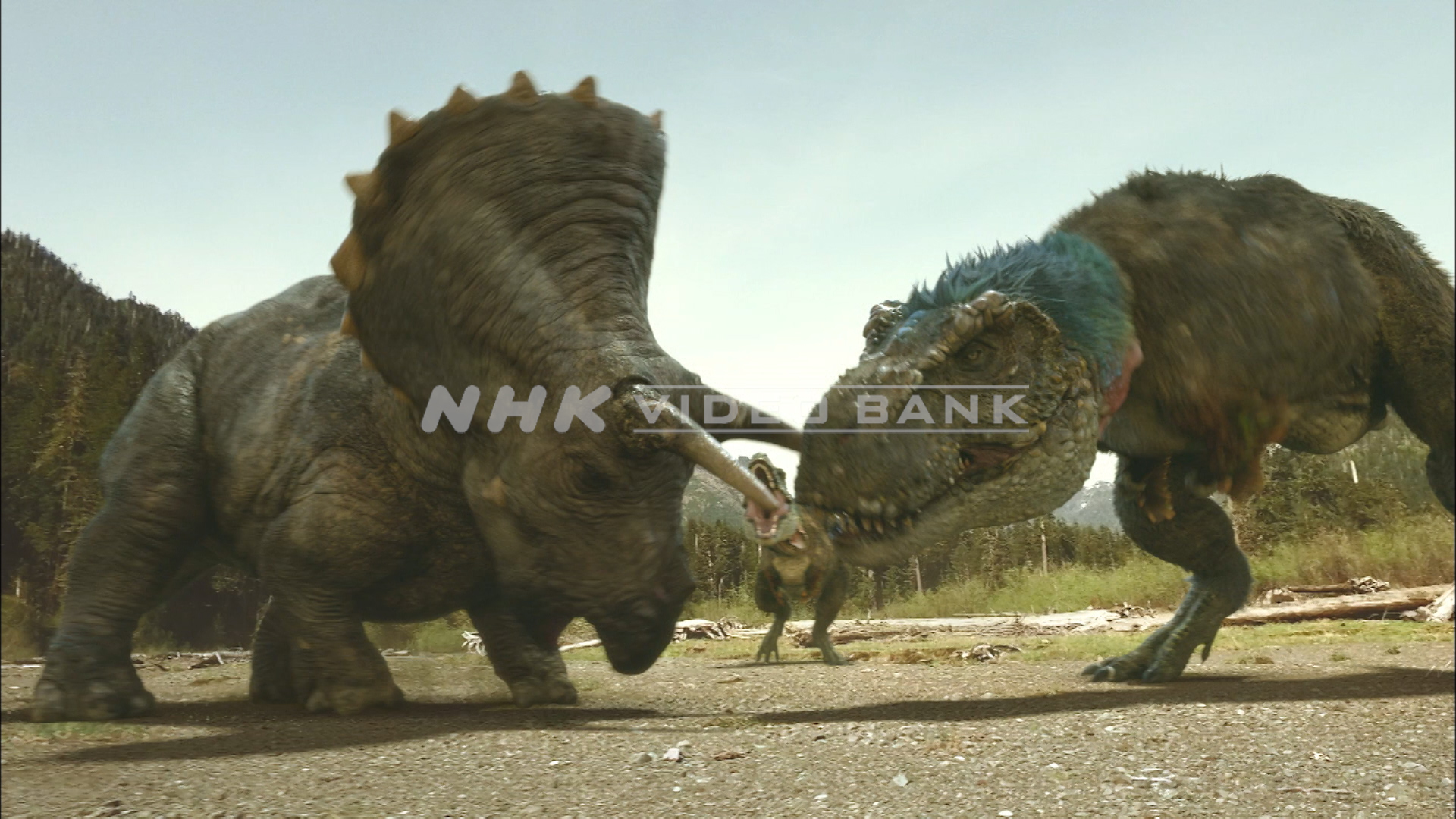 Tyrannosaurus vs Triceratops